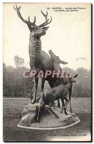 Nantes Ansichtskarte AK Jardin des plantes Les cerfs par Gardet