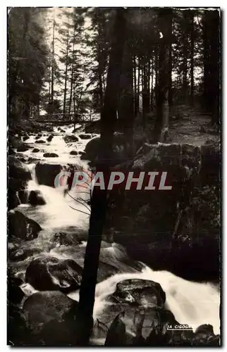 Cartes postales moderne Saut des cuves Chute de la Vologne