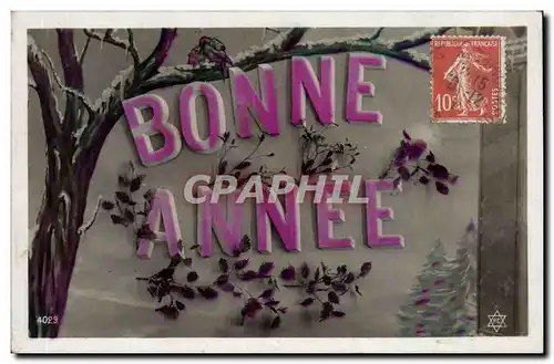 Cartes postales Fantaisie Bonne annee