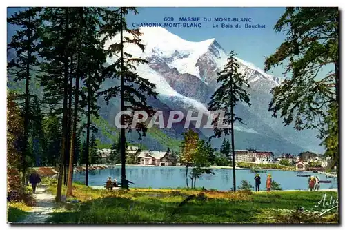 Ansichtskarte AK Massif du Mont Blanc Chamonix Le bois du boucher