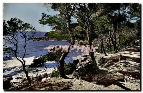 Cote d&#39Azur - Chemin du Bord de Mer - Ansichtskarte AK