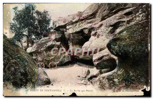 Ansichtskarte AK Foret de Fontainebleau la roche qui pleure