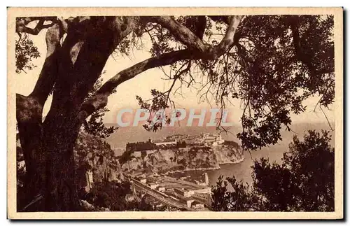 Cartes postales Le rocher de Monaco