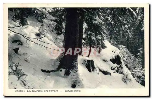 Cartes postales La Savoie en hiver sous bois