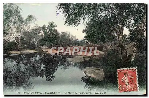 Cartes postales Foret de Fontainebleau La mare de Franchard