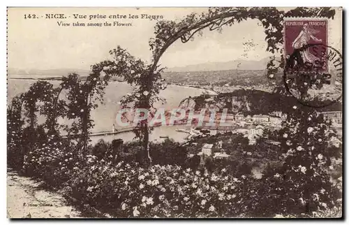 Cartes postales Nice Vue entre les fleurs