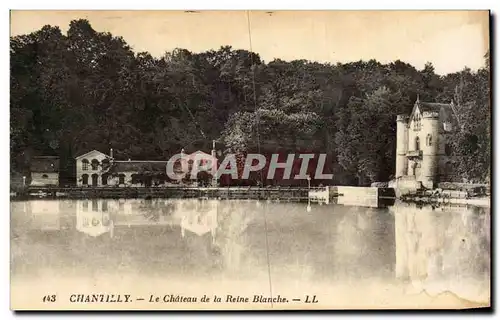 Cartes postales Chantilly Le chateau de la reine blanche