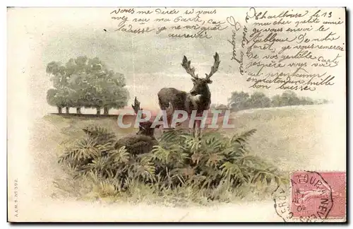 Cartes postales Cerf et biche Gibier