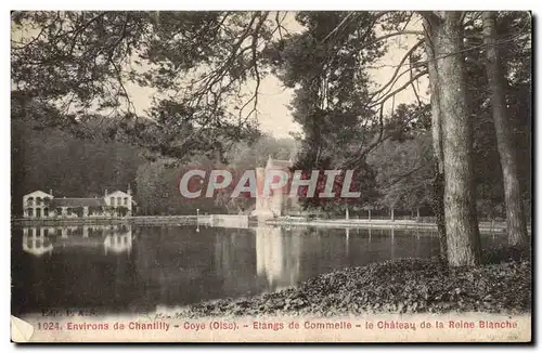 Cartes postales Environs de Chantilly Etangs de Commette Le chateau de la reine blanche