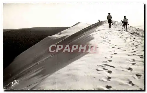 Cartes postales moderne Le Pilat Les dunes ( hauteur 114m )