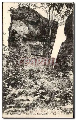 Cartes postales Saint Die Les rochers Saint Martin