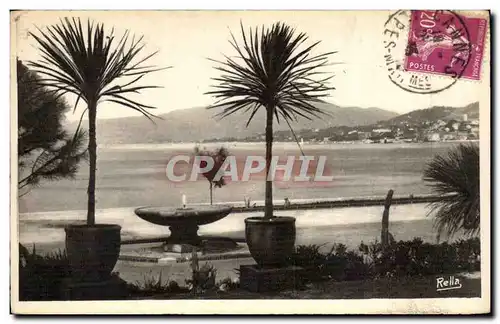 Cannes Cartes postales DAns le jardin des Hesperides