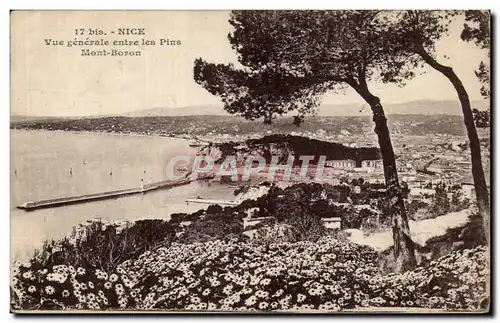 Cartes postales Nice Vue generale entre les pins Mont Boron