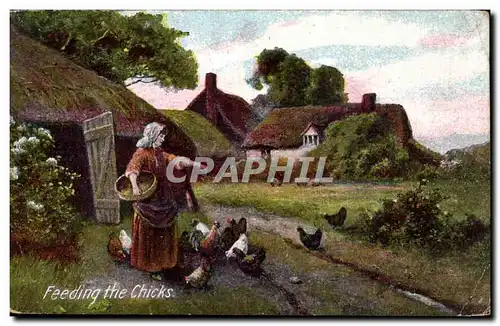 Cartes postales Fantaisie Feeding the chicks Poules