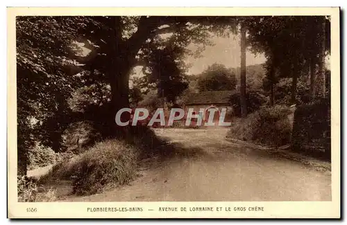 Plombieres les Bains Ansichtskarte AK Avenue de lorraine et le gros chene