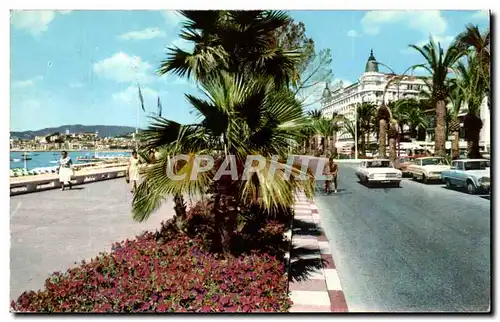 Moderne Karte Cannes la croistte et ses jardins fleuris au fond le Carlton