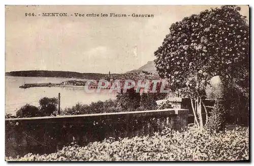 Ansichtskarte AK Menton Vue entre les fleurs Garavan