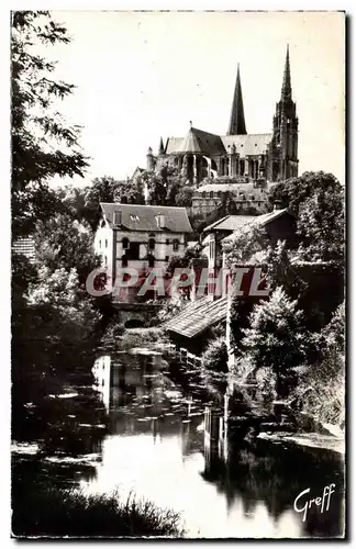 Cartes postales Chartres Les bords de L&#39Eure et la cathedrale