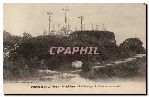 Cartes postales Pelerinage du calvaire de Pontchateau La montagne du calvaire vue de cote