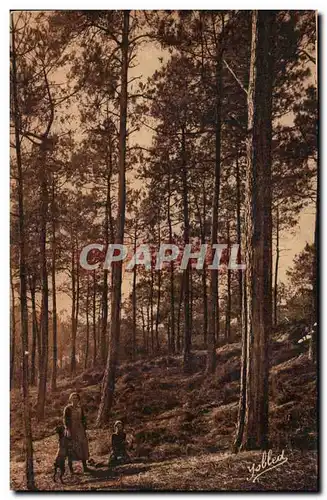 Cartes postales Dans les Landes de Gascogne