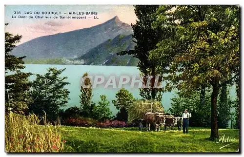 Cartes postales Lac du Bourget Aix les Bains La dent du chat vue de Saint innocent Attelage