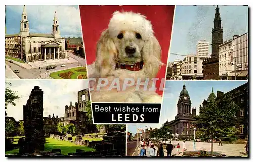 Cartes postales moderne Best wishes from Leeds Chien Dog