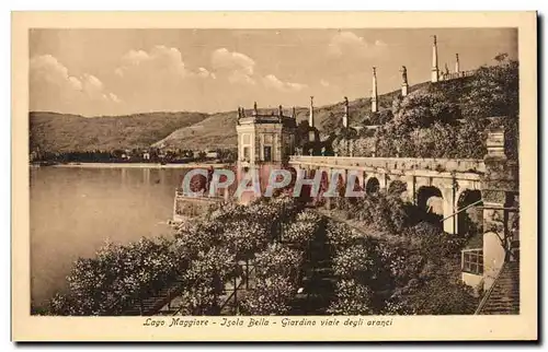 Ansichtskarte AK Italie Italie Lago Maggiore Giardino viale degli Aranci