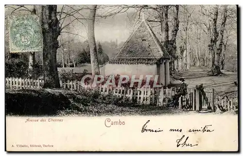 Cartes postales CAmbo Avenue des Thermes