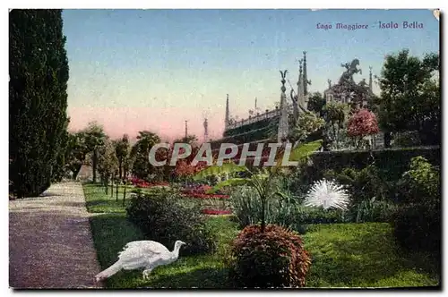 Cartes postales Italie italia Laggo Maggiore Isola Bella