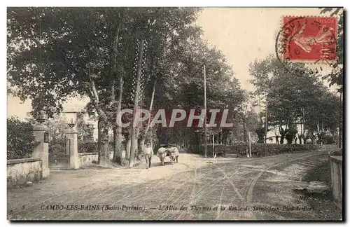 Cartes postales Cambo les Bains L&#39allee des Thermes et la route de Saint Jean de port ( char a boeufs )