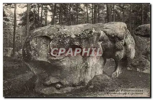 Cartes postales Foret de Fontainebleau L&#39elephant Gorges d&#39Apremont