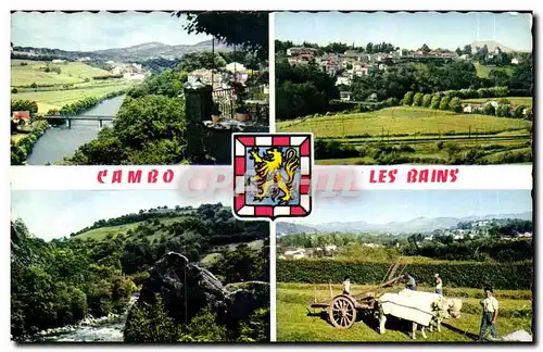 Cartes postales Cambo les Bains Vue generale Vue d&#39ensemble La Nive au pas de Roland Attelage