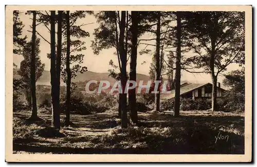 Cartes postales Hendaye Le bois d&#39amour