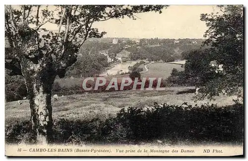 Ansichtskarte AK Cambo les Bains Vue prise de la montagne des dames