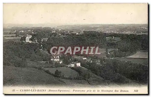 Ansichtskarte AK Cambo les Bains Panorama pris de la montagne des Dames