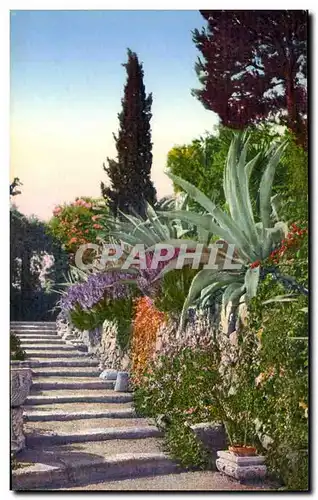 Cartes postales Italie Italia Sanremo Flora della Riviera