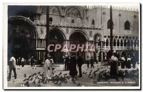 Ansichtskarte AK Italie Italia Venezia Piccioni a S Marco