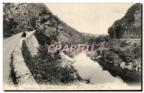 Ansichtskarte AK Environs de Cambo les Bains La route du pas de Roland