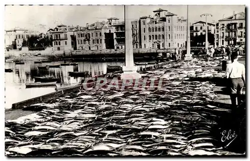 Cartes postales St Jean de Luz Les thons sur le quai Au fond la maison de l&#39infante