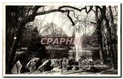 Cartes postales moderne Nantes Le jardin des plantes Le lac