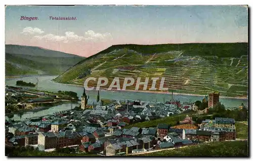 Cartes postales Bingen Totalansicht