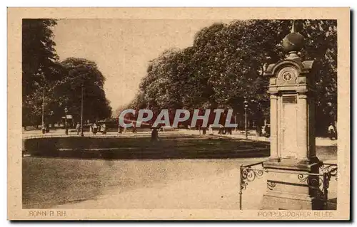 Ansichtskarte AK Bonn Poppeldorfer Allee