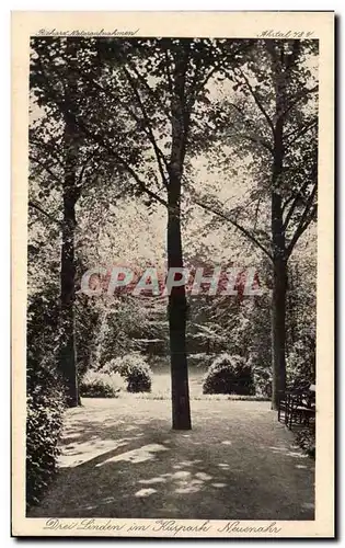 Cartes postales Drei Linden im Kurpark Neuemahr