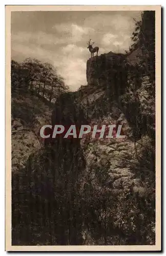 Cartes postales Hirschsprung im Hollental