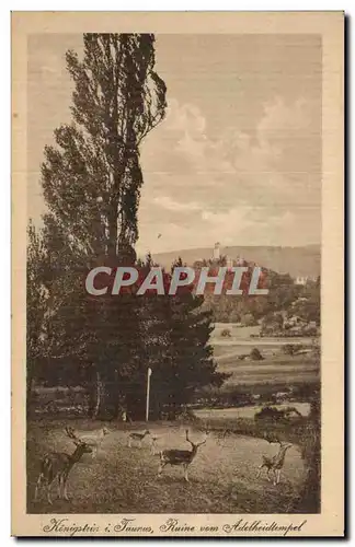 Cartes postales Konigstein u Taunus Ruine vom Adelheitempel