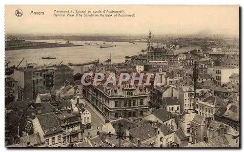 Cartes postales Belgique Anvers Panorama (l&#39Escaut au coude d&#39Austruweel)