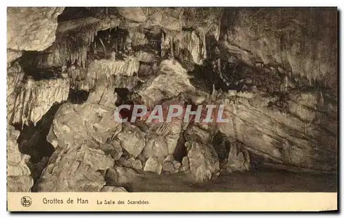 Ansichtskarte AK Belgique Grottes de Han La salle des scarabees