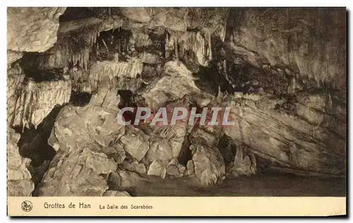 Cartes postales Belgique Grottes de Han La salle des scarabees