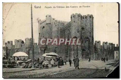 Ansichtskarte AK Gand Facade du chateau des comtes de Flande