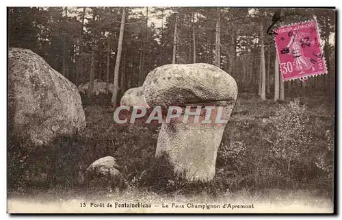 Ansichtskarte AK Foret de Fontainebleau Le faux champignon d&#39Apremont